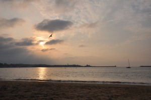 DSC_0529 DSC_0529