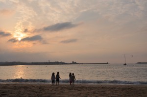DSC_0545 DSC_0545