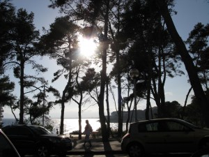 IMG_0778